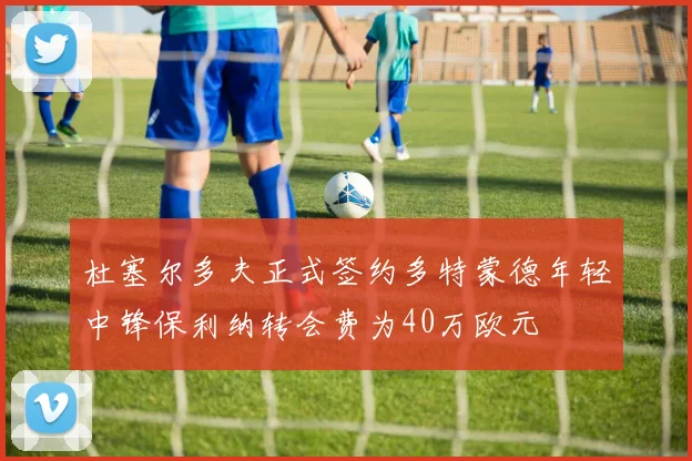 杜塞尔多夫正式签约多特蒙德年轻中锋保利纳转会费为40万欧元