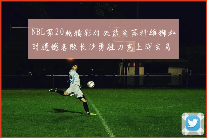 NBL第20轮精彩对决盐南苏科雄狮加时遗憾落败长沙勇胜力克上海玄鸟