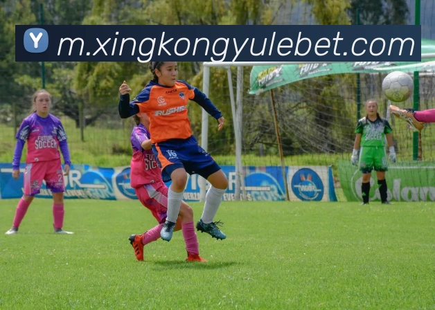 星空娱乐服务体系