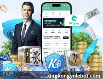 星空娱乐 APP 深度功能(xingkong)